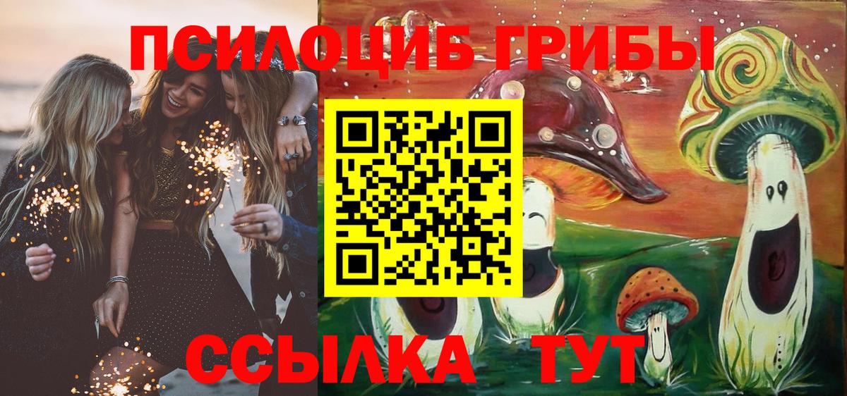 Галлюциногенные грибы Cubensis  цены   Тайшет  Вход с VPN 
